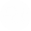 icon13